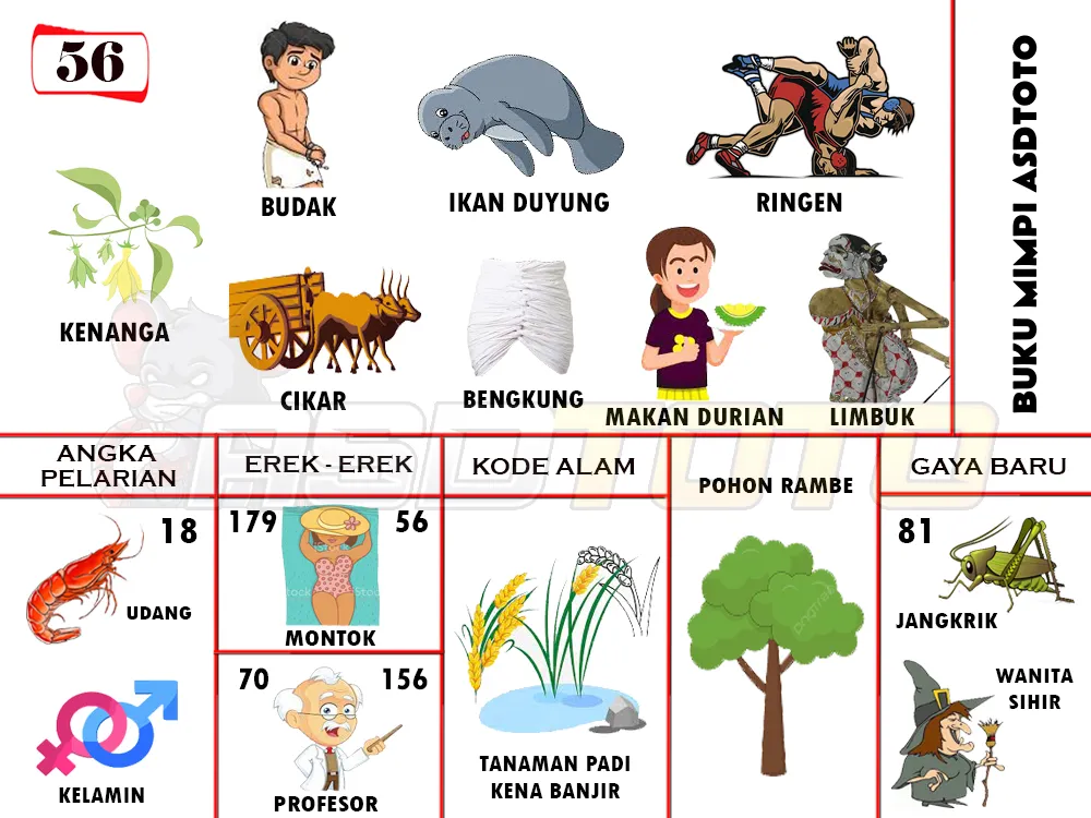 buku mimpi erek erek togel 56